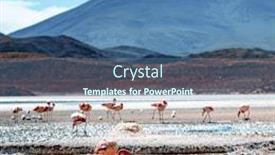  Presentation with scenery - Cool new slides with amazing-red-laguna-colorada-scenery backdrop and a ocean colored foreground