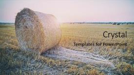  Presentation with amazing - Theme consisting of amazing rural scene on autumn field with straw roles and dramatic evening light toned like instagram filter background and a coral colored foreground