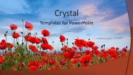  Presentation with poppy - Slide set with amazing spring poppy field landscape background and a light blue colored foreground