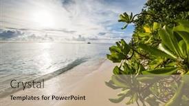  Presentation with clear water - 