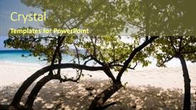  Presentation with clear water - Presentation enhanced with amazing-tropical-beach-background-white background and a tawny brown colored foreground