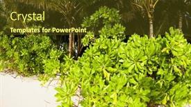  Presentation with clear water - PPT theme with amazing-tropical-beach-background-white background and a tawny brown colored foreground