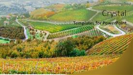  Presentation with vineyards - PPT theme with amazing-vast-fields-of-vineyards background and a yellow colored foreground