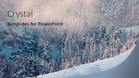  Presentation with winter landscape winter tree - Colorful slide deck enhanced with amazing-winter-landscape-fir-tree backdrop and a soft green colored foreground