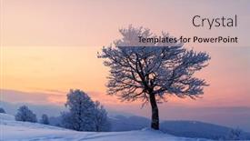  Presentation with winter landscape winter tree - Cool new slide set with amazing-winter-landscape backdrop and a lemonade colored foreground
