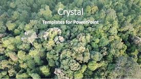  Presentation with tropical rainforest - Slide deck consisting of amazon rain forest - tropical rainforest aerial photo background and a gray colored foreground