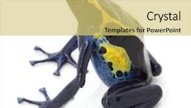  Presentation with tropical forest - PPT theme featuring amazon rain forest in guyana background and a yellow colored foreground