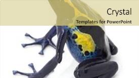  Presentation with tropical forest - PPT theme with amazon rain forest in guyana background and a yellow colored foreground