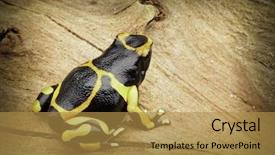  Presentation with venezuela - Audience pleasing PPT layouts consisting of amazon rain forest of guyana backdrop and a gold colored foreground