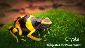  Presentation with venezuela - Slides featuring amazon rain forest of venezuela background and a tawny brown colored foreground