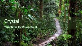  Presentation with amazon jungle - Slides enhanced with amazon rainforest of colombia background and a tawny brown colored foreground