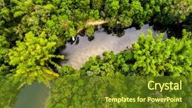  Presentation with rainforest - Audience pleasing presentation theme consisting of amazon rainforest south america backdrop and a tawny brown colored foreground