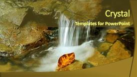  Presentation with neem leaf - Presentation theme consisting of amber stone - leaf is caught flowing background and a tawny brown colored foreground