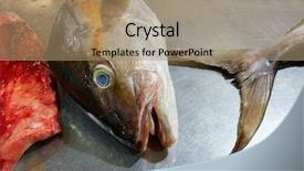  Presentation with fish food processing - Presentation theme enhanced with amberjack fish head fillet process background and a coral colored foreground