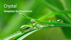  Presentation with grass - Presentation theme enhanced with stunning summer sunset over ocean with cliffs rocks and vibrant colors background and a gray colored foreground