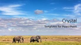  Presentation with walk - Presentation design with amboseli national park kenya wide background and a light blue colored foreground