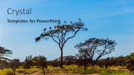  Presentation with savanna - Slide deck with famous kilimanjaro mountain savanna background and a light blue colored foreground