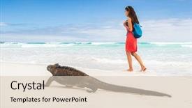  Presentation with marine - Beautiful slides featuring america - galapagos wildlife marine iguana walking backdrop and a lemonade colored foreground