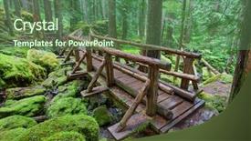  Presentation with thorn forest - Colorful presentation enhanced with america nature - boardwalk in forest backdrop and a ocean colored foreground