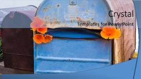  Presentation with grunge flower - PPT layouts with america nature - california poppy flower grunge mailboxes background and a light blue colored foreground