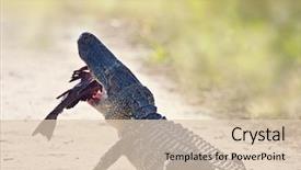  Presentation with bullhead - Colorful slides enhanced with american alligator eating a large backdrop and a lemonade colored foreground