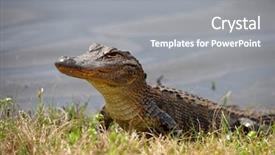  Presentation with arches national park - Cool new slide deck with woman is carrying a notebook backdrop and a  colored foreground.