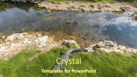  Presentation with asian american colors - Slide set consisting of american-alligator-swimming-in-everglades background and a  colored foreground