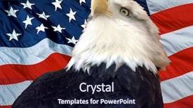  Presentation with american flag - Audience pleasing slide deck consisting of american bald eagle in-front backdrop and a wine colored foreground
