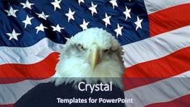  Presentation with american flag and eagle - Presentation theme with american bald eagle in-front background and a navy blue colored foreground