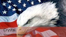  Presentation with american flag - Amazing slides having american bald eagle in-front backdrop and a red colored foreground