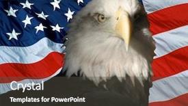 Presentation with american flag and eagle - Cool new PPT layouts with american bald eagle in-front backdrop and a dark gray colored foreground