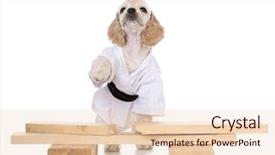  Presentation with puppy - Audience pleasing PPT layouts consisting of puppy dressed like a karate backdrop and a lemonade colored foreground