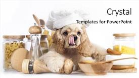  Presentation with puppy english cocker spaniel - Slide set consisting of american cocker spaniel puppy background and a white colored foreground