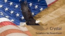 Presentation with bald eagle flying - Audience pleasing PPT theme consisting of american flag flying bald eagle backdrop and a coral colored foreground