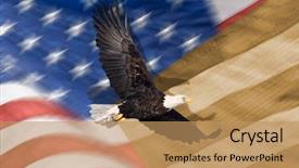  Presentation with bald eagle flying - Slides featuring american flag flying bald eagle background and a coral colored foreground
