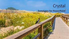  Presentation with pedestrian - Beautiful presentation theme featuring amid a flowering grassy meadow backdrop and a light blue colored foreground