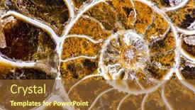  Presentation with prehistoric - Cool new theme with ammonite-is-a-prehistoric-shell backdrop and a tawny brown colored foreground