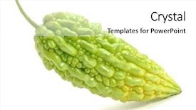  Presentation with pear - Theme with ampalaya vines - balsam pear isolated in white background and a white colored foreground
