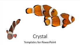  Presentation with group - PPT layouts with blue toned sand texture abstract background and a ocean colored foreground