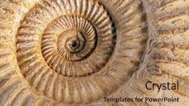  Presentation with fossil - PPT theme consisting of an ammonite prehistoric fossil background and a coral colored foreground