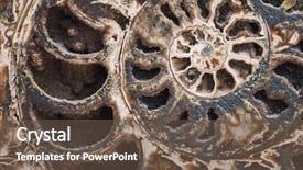  Presentation with fibonacci - Amazing slides having an ancient ammonite fossil backdrop and a tawny brown colored foreground
