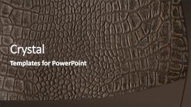  Presentation with old album - PPT theme featuring an old photo album background and a  colored foreground