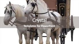  Presentation with old photo - PPT theme consisting of horse cart - color photo of an old background and a gray colored foreground