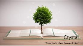  Presentation with growing tree - Presentation enhanced with an open book alternative background and a soft green colored foreground