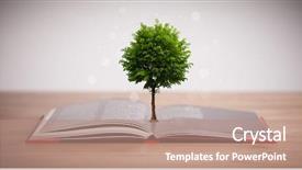  Presentation with alternative - PPT theme enhanced with an open book alternative background and a coral colored foreground