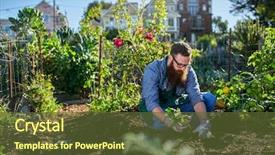  Presentation with millennial - Slide set having an urban communal garden background and a tawny brown colored foreground