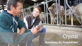  Presentation with milk - Cool new slide deck with analysis milk - veterinarian with breeder checking backdrop and a gray colored foreground