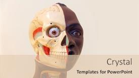  Presentation with anatomical head - Cool new slide deck with anatomical model of human head backdrop and a lemonade colored foreground