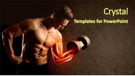 Presentation with weight lifting - Beautiful PPT theme featuring anatomie sportsman - fit bodybuilder lifting weight backdrop and a  colored foreground