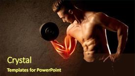  Presentation with weight lifting - PPT theme featuring anatomie sportsman - fit bodybuilder lifting weight background and a  colored foreground